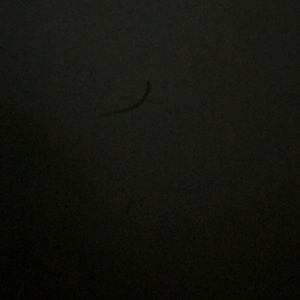 Meet your Posher, Ivan